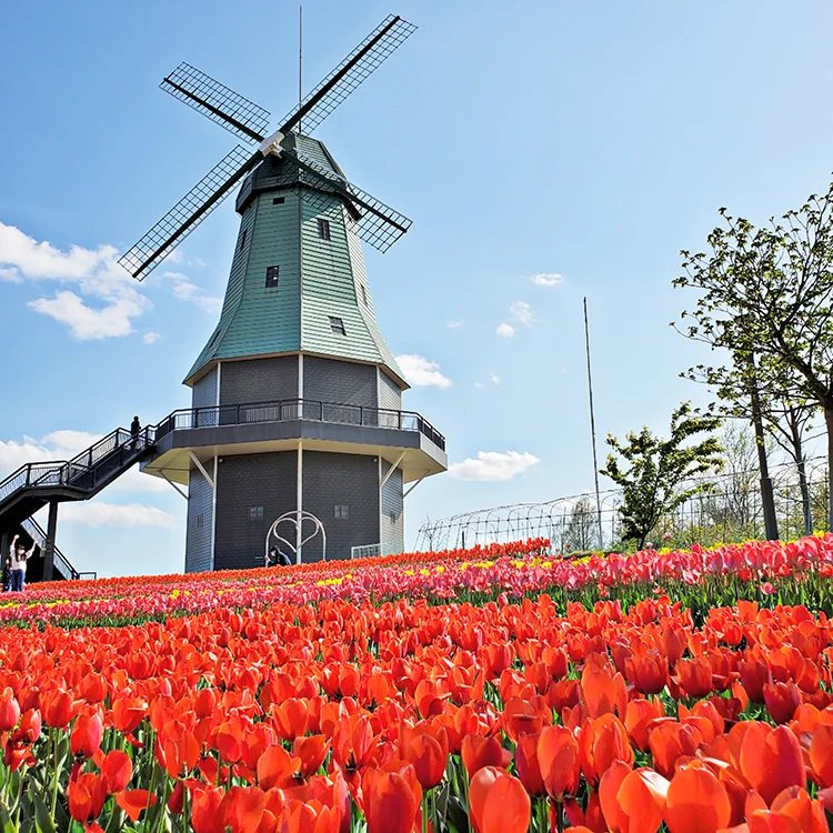 🏞️ 카스미가우라 종합 공원(카스미가우라 소고 코엔) 이미지 6
